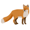 Rabies-Fox